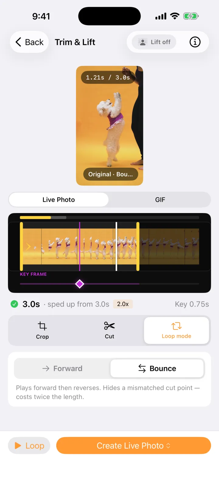 Peel’s Loop mode panel with Bounce selected and the clip sped up 2×