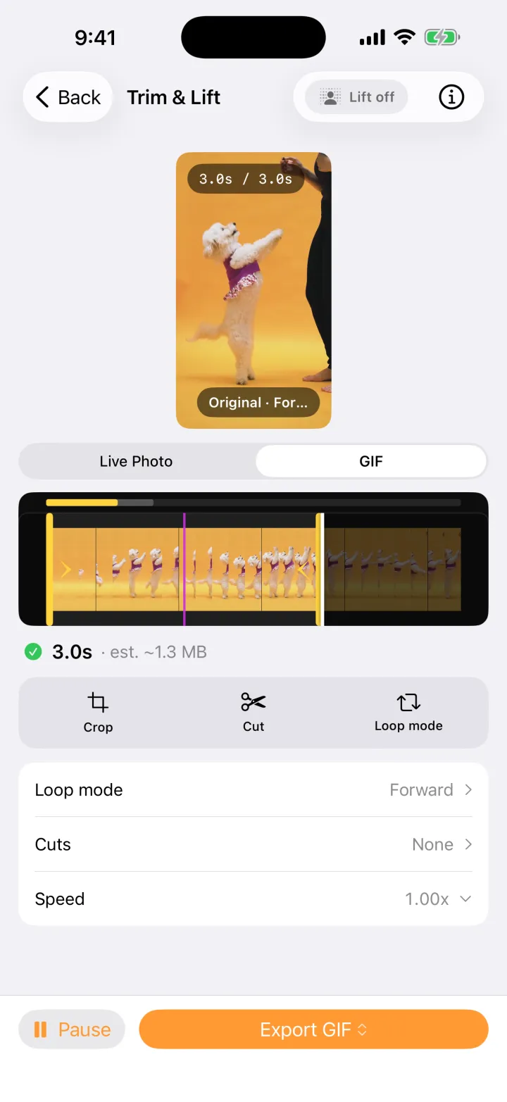 Peel in GIF mode, showing an estimated file size of about 1.3 MB and an Export GIF button