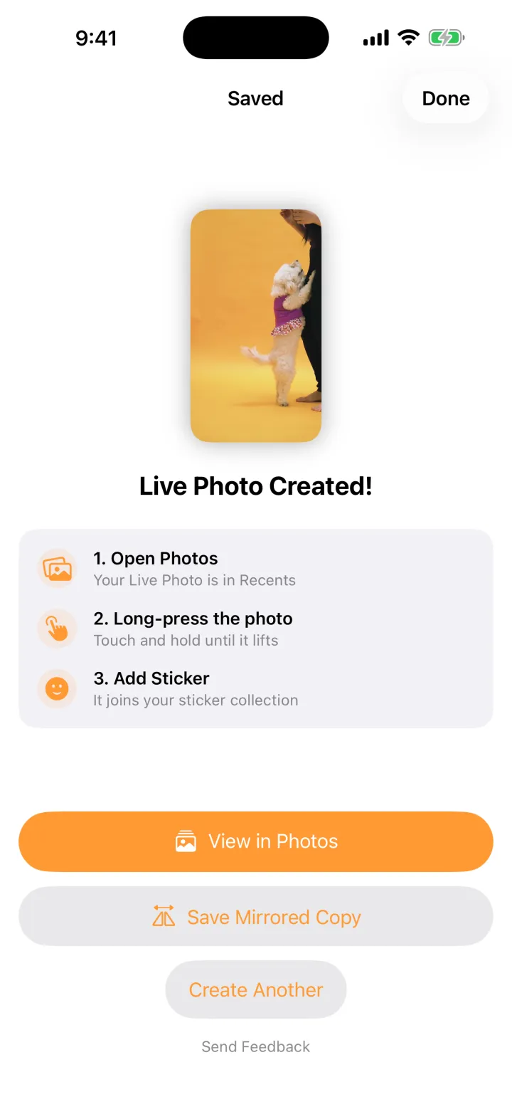 Peel’s success screen: Live Photo Created, with three numbered steps to add it as a sticker